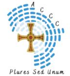 africancatholiccommunitydhn.org.uk